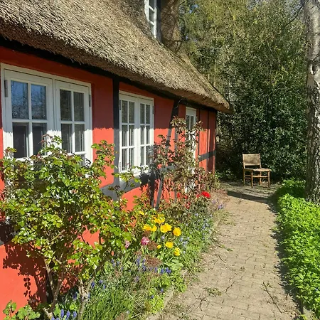 Charming House With Heated Pool Near Mons Klint 度假居
