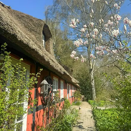 Charming House With Heated Pool Near Mons Klint * Lundby Stationsby